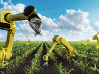 Agroindustria tiene 25 años de retraso&nbsp;tecnológico